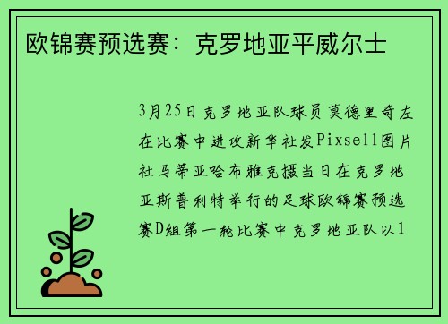 欧锦赛预选赛：克罗地亚平威尔士